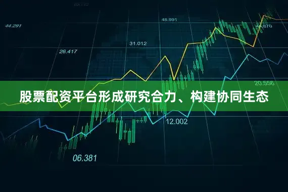 股票配资平台形成研究合力、构建协同生态