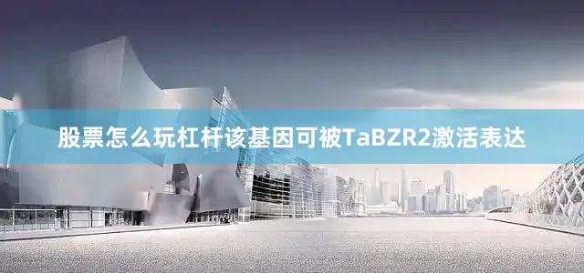 股票怎么玩杠杆该基因可被TaBZR2激活表达