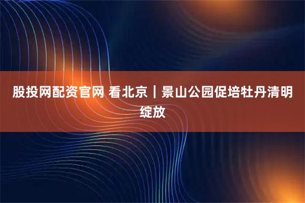股投网配资官网 看北京｜景山公园促培牡丹清明绽放