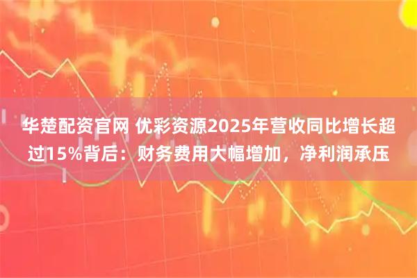 华楚配资官网 优彩资源2025年营收同比增长超过15%背后：财务费用大幅增加，净利润承压